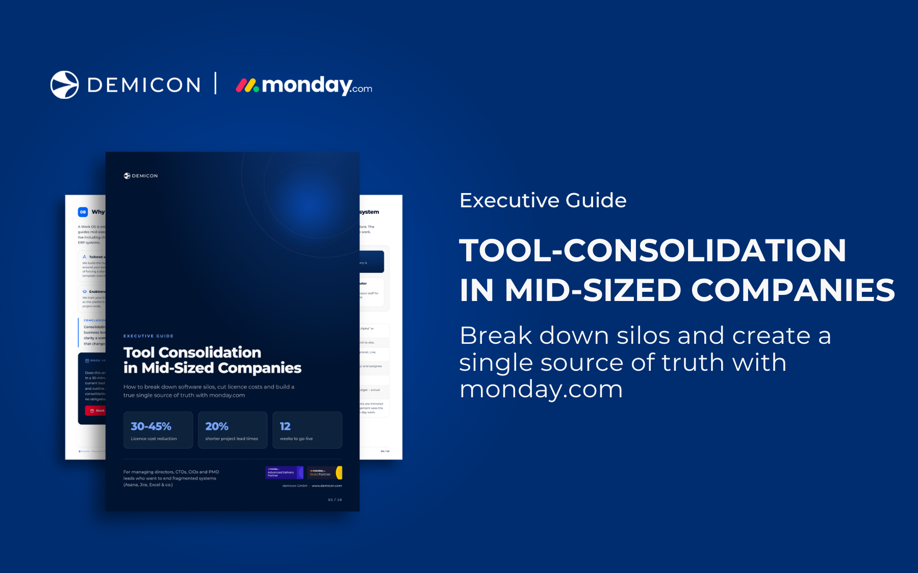 Tool Consolidation for Mid-Sized Companies with monday.com